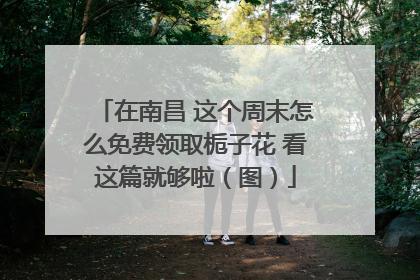 在南昌 这个周末怎么免费领取栀子花 看这篇就够啦（图）