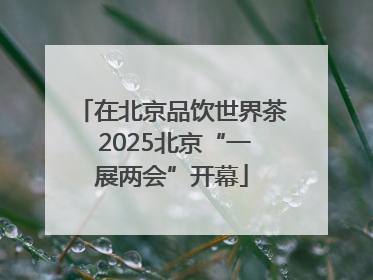 在北京品饮世界茶 2025北京“一展两会”开幕