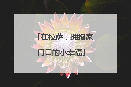 在拉萨，拥抱家门口的小幸福