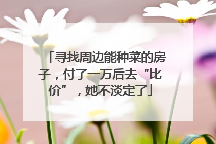 寻找周边能种菜的房子，付了一万后去“比价”，她不淡定了