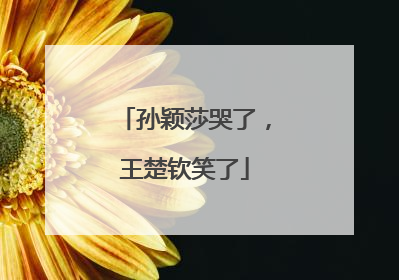 孙颖莎哭了，王楚钦笑了