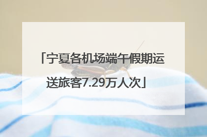宁夏各机场端午假期运送旅客7.29万人次