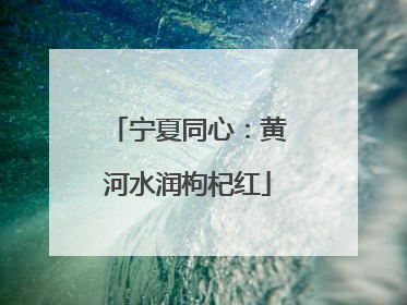 宁夏同心：黄河水润枸杞红