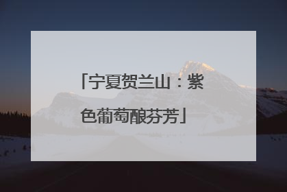 宁夏贺兰山：紫色葡萄酿芬芳
