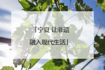 宁夏 让非遗融入现代生活