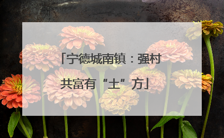 宁德城南镇：强村共富有“土”方
