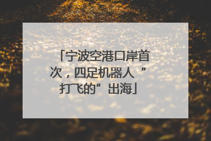 宁波空港口岸首次，四足机器人“打飞的”出海