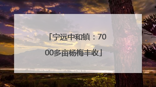 宁远中和镇：7000多亩杨梅丰收