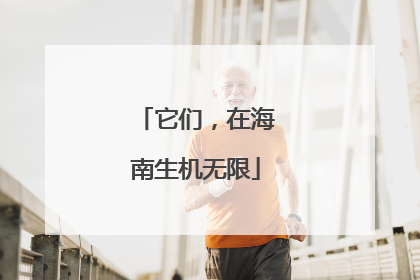 它们，在海南生机无限