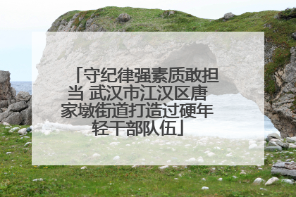 守纪律强素质敢担当 武汉市江汉区唐家墩街道打造过硬年轻干部队伍