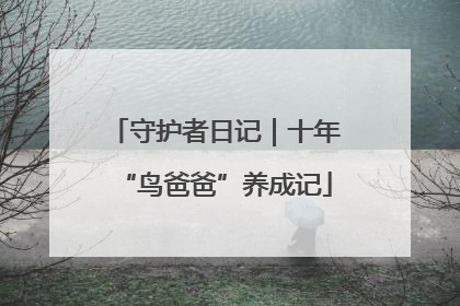 守护者日记｜十年“鸟爸爸”养成记