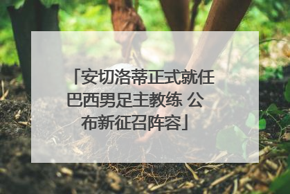 安切洛蒂正式就任巴西男足主教练 公布新征召阵容