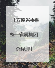 安徽省委调整一省属集团总经理