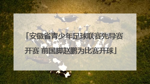 安徽省青少年足球联赛先导赛开赛 前国脚赵鹏为比赛开球