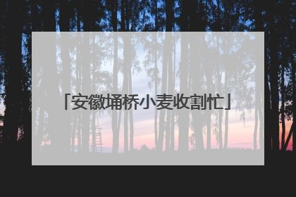 安徽埇桥小麦收割忙