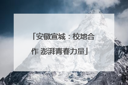 安徽宣城：校地合作 澎湃青春力量