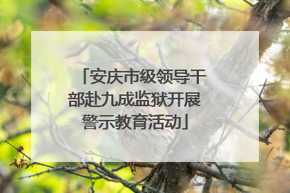 安庆市级领导干部赴九成监狱开展警示教育活动