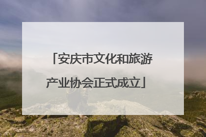 安庆市文化和旅游产业协会正式成立
