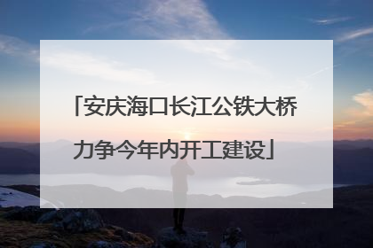 安庆海口长江公铁大桥力争今年内开工建设