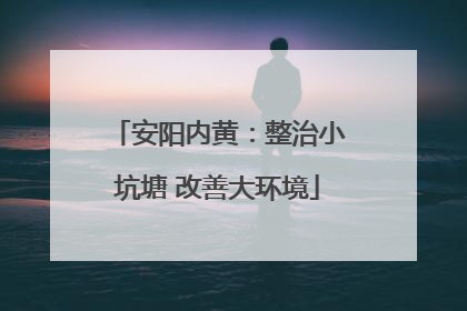 安阳内黄：整治小坑塘 改善大环境