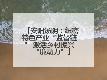 安阳汤阴：织密特色产业“监督链” 激活乡村振兴“廉动力”