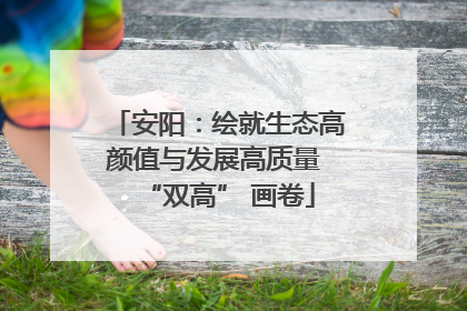 安阳：绘就生态高颜值与发展高质量 “双高” 画卷