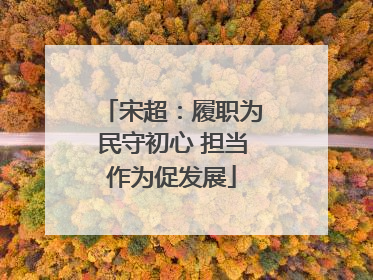 宋超：履职为民守初心 担当作为促发展