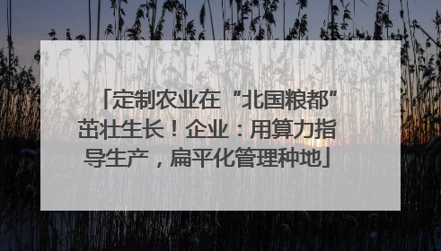 定制农业在“北国粮都”茁壮生长！企业：用算力指导生产，扁平化管理种地