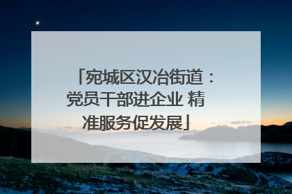 宛城区汉冶街道：党员干部进企业 精准服务促发展