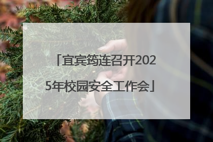 宜宾筠连召开2025年校园安全工作会