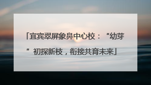 宜宾翠屏象鼻中心校：“幼芽”初探新枝，衔接共育未来