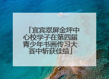 宜宾翠屏金坪中心校学子在第四届青少年书画传习大赛中斩获佳绩