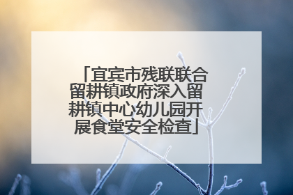 宜宾市残联联合留耕镇政府深入留耕镇中心幼儿园开展食堂安全检查