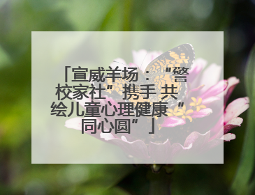宣威羊场：“警校家社”携手 共绘儿童心理健康“同心圆”