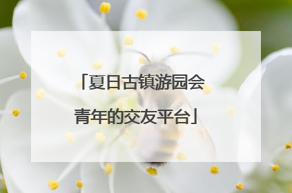 夏日古镇游园会 青年的交友平台