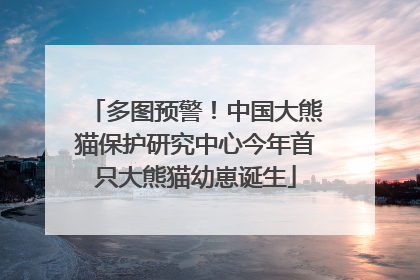 多图预警！中国大熊猫保护研究中心今年首只大熊猫幼崽诞生