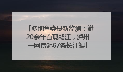 多地鱼类最新监测：鳤20余年首现赣江，泸州一网捞起67条长江鲟