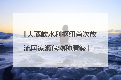 大藤峡水利枢纽首次放流国家濒危物种唇鲮