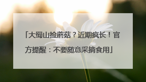 大蜀山捡蘑菇？近期疯长！官方提醒：不要随意采摘食用