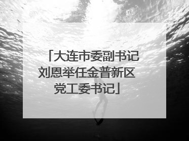 大连市委副书记刘恩举任金普新区党工委书记
