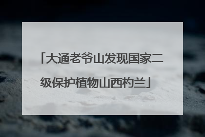 大通老爷山发现国家二级保护植物山西杓兰