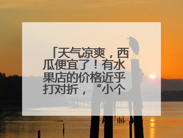 天气凉爽，西瓜便宜了！有水果店的价格近乎打对折，“小个子”的特小凤、小糖丸更好卖