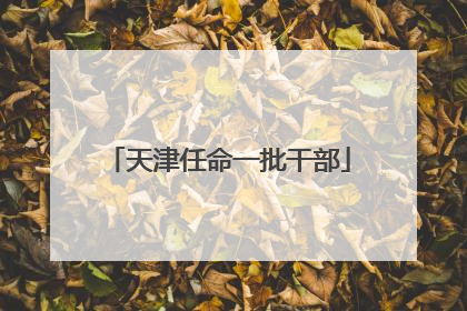 天津任命一批干部