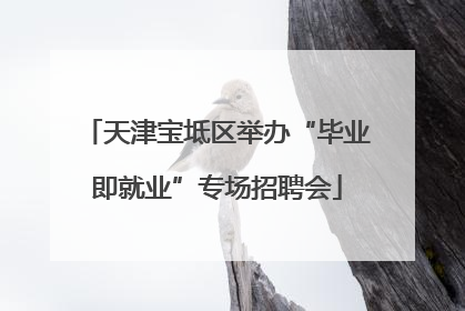 天津宝坻区举办“毕业即就业”专场招聘会