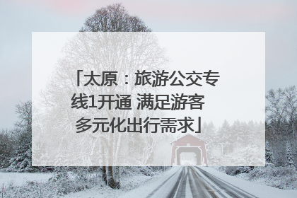 太原：旅游公交专线1开通 满足游客多元化出行需求