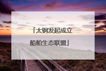 太钢发起成立船舶生态联盟