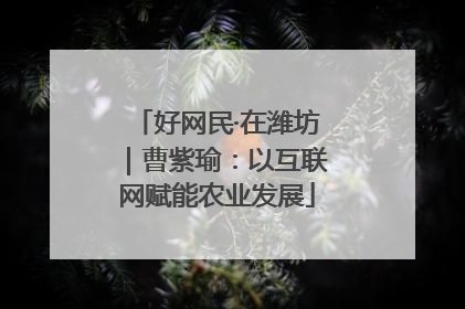 好网民·在潍坊｜曹紫瑜：以互联网赋能农业发展