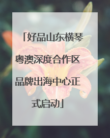 好品山东横琴粤澳深度合作区品牌出海中心正式启动