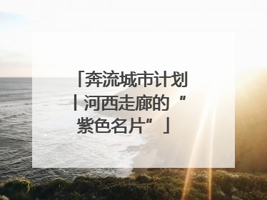 奔流城市计划丨河西走廊的“紫色名片”