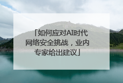 如何应对AI时代网络安全挑战，业内专家给出建议